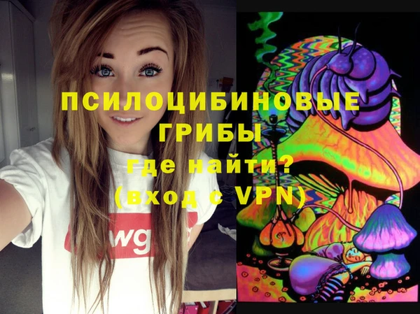 гашик Аркадак