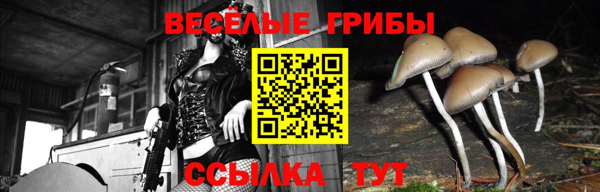 Псилоцибиновые грибы ЛСД Белорецк
