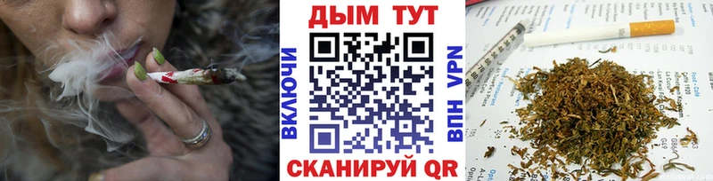 Бошки марихуана индика  закладка  Белорецк 